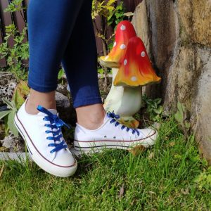 Cordones fantasía azulones