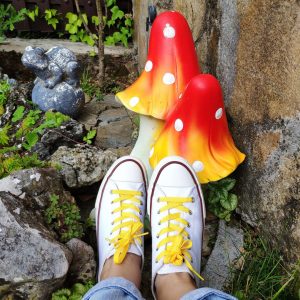 Cordones para zapatillas amarillos